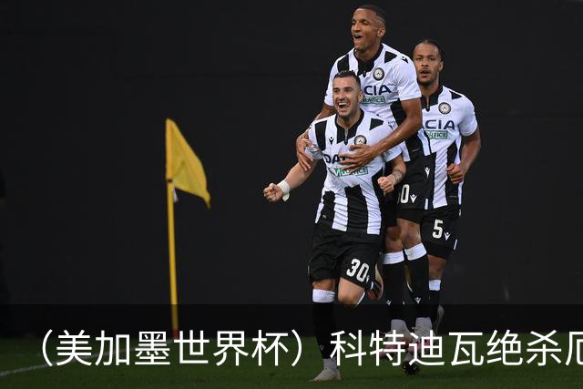 （美加墨世界杯）科特迪瓦绝杀厄瓜多尔 瑞典5:1大胜突尼斯